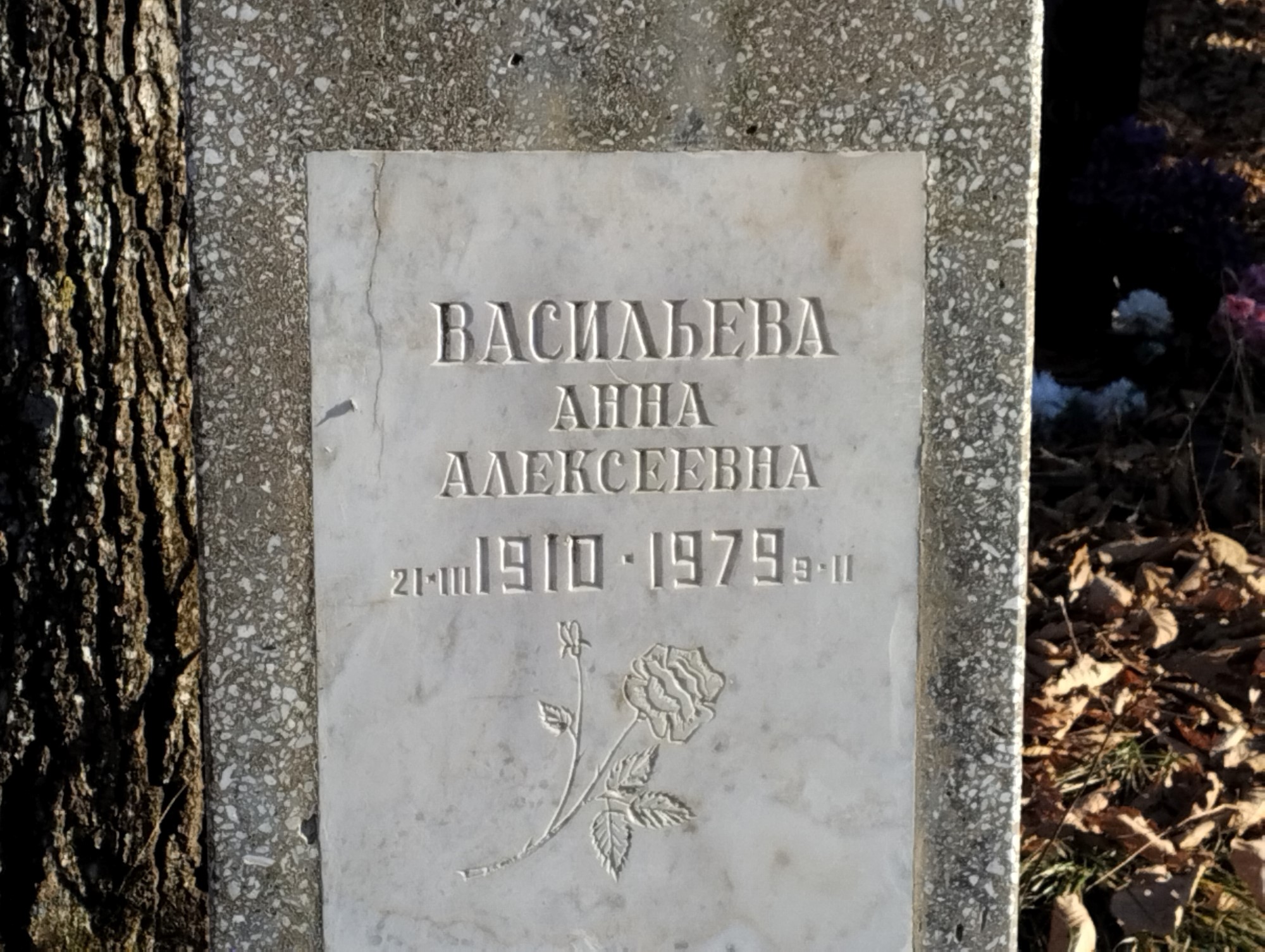 Васильева Анна Алексеевна