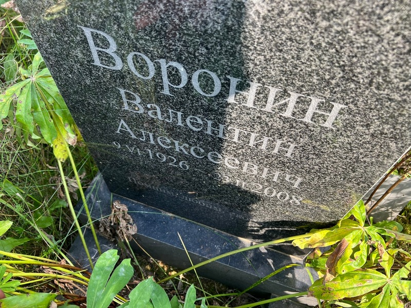 Воронин