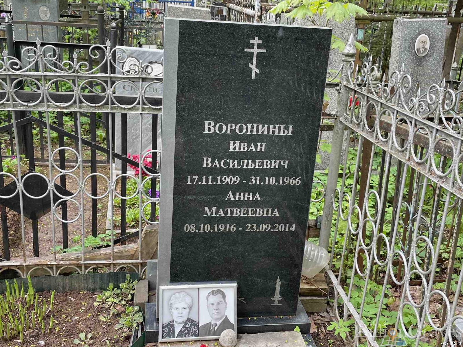 Воронина Анна Матвеевна