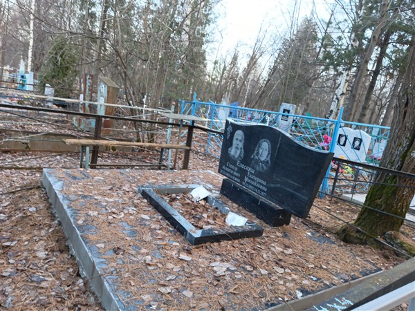 Елесина Екатерина Михайловна