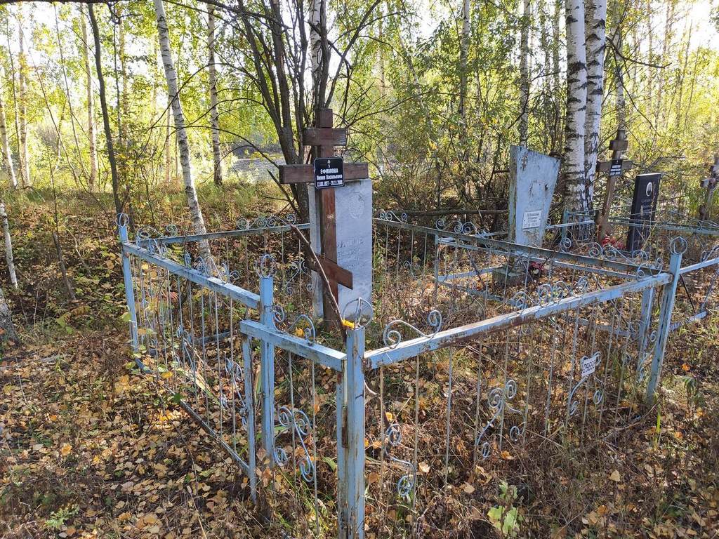 Ефимова Ливия Васильевна