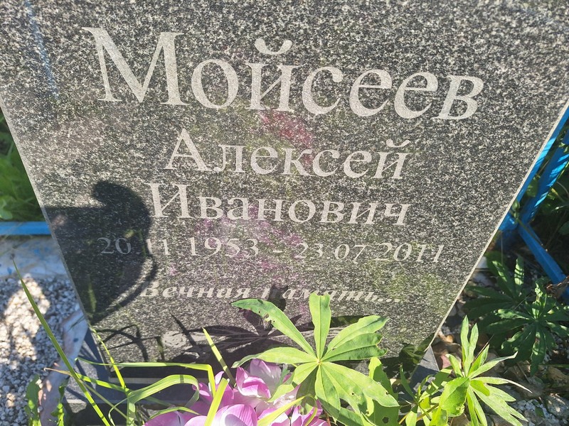 Мойсеев