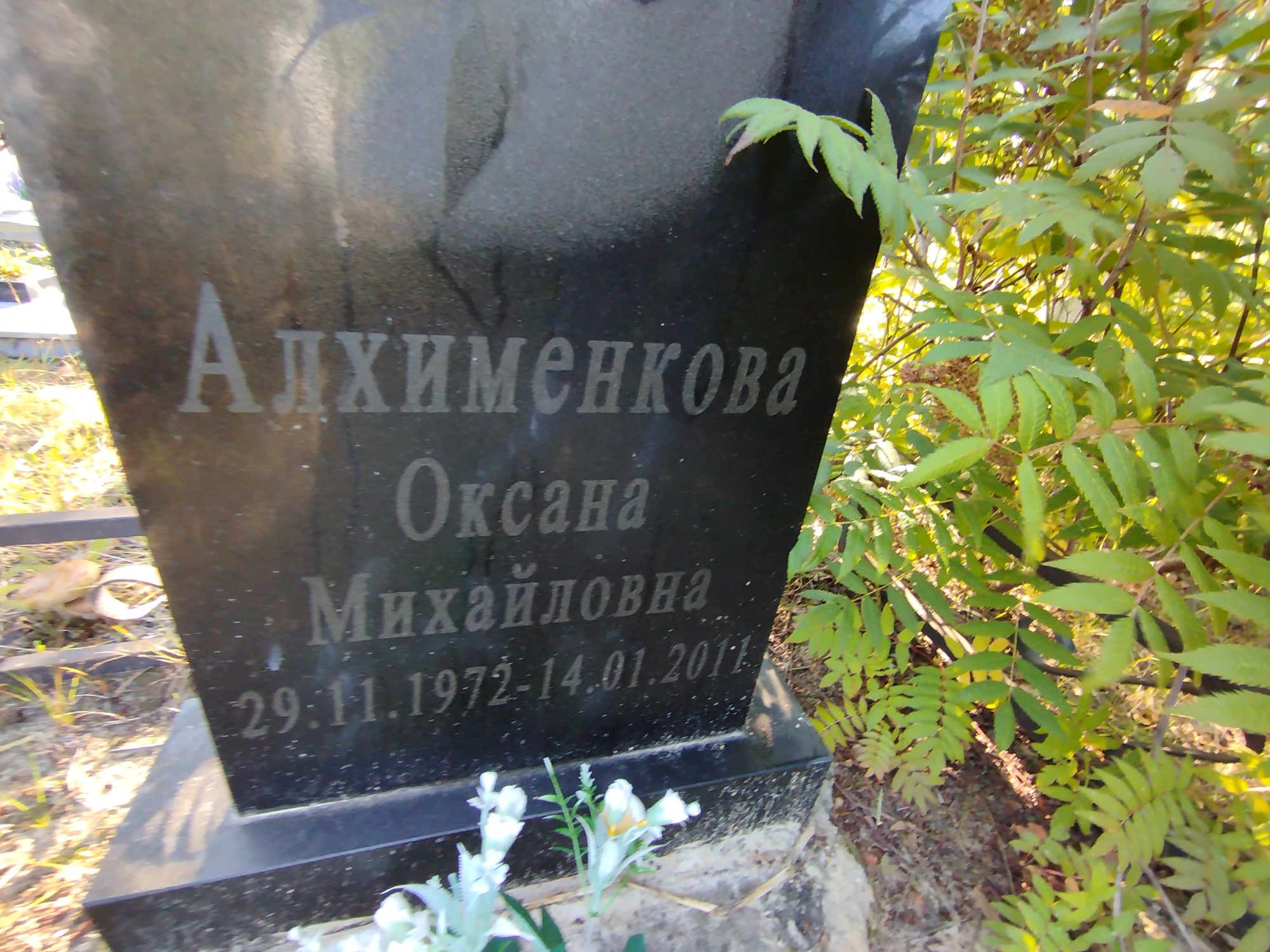 Алхименкова Оксана Михайловна