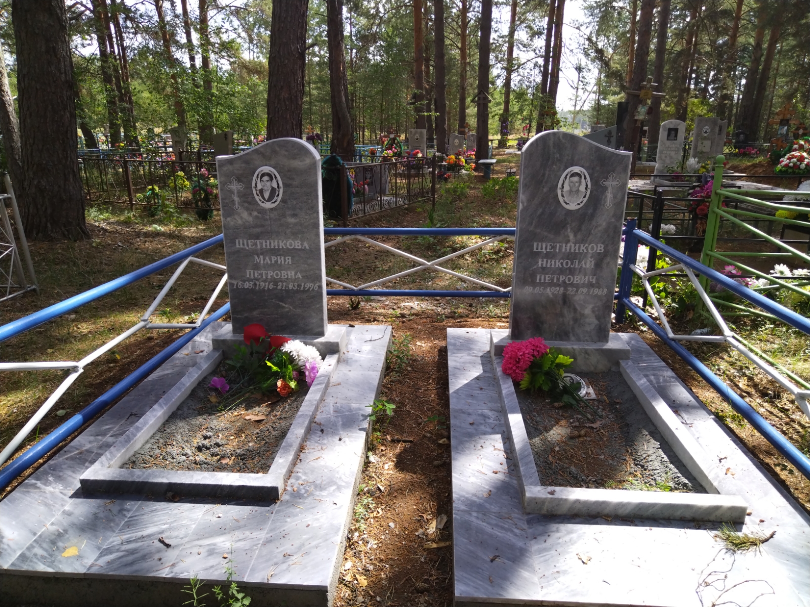 Щетников Николай Петрович