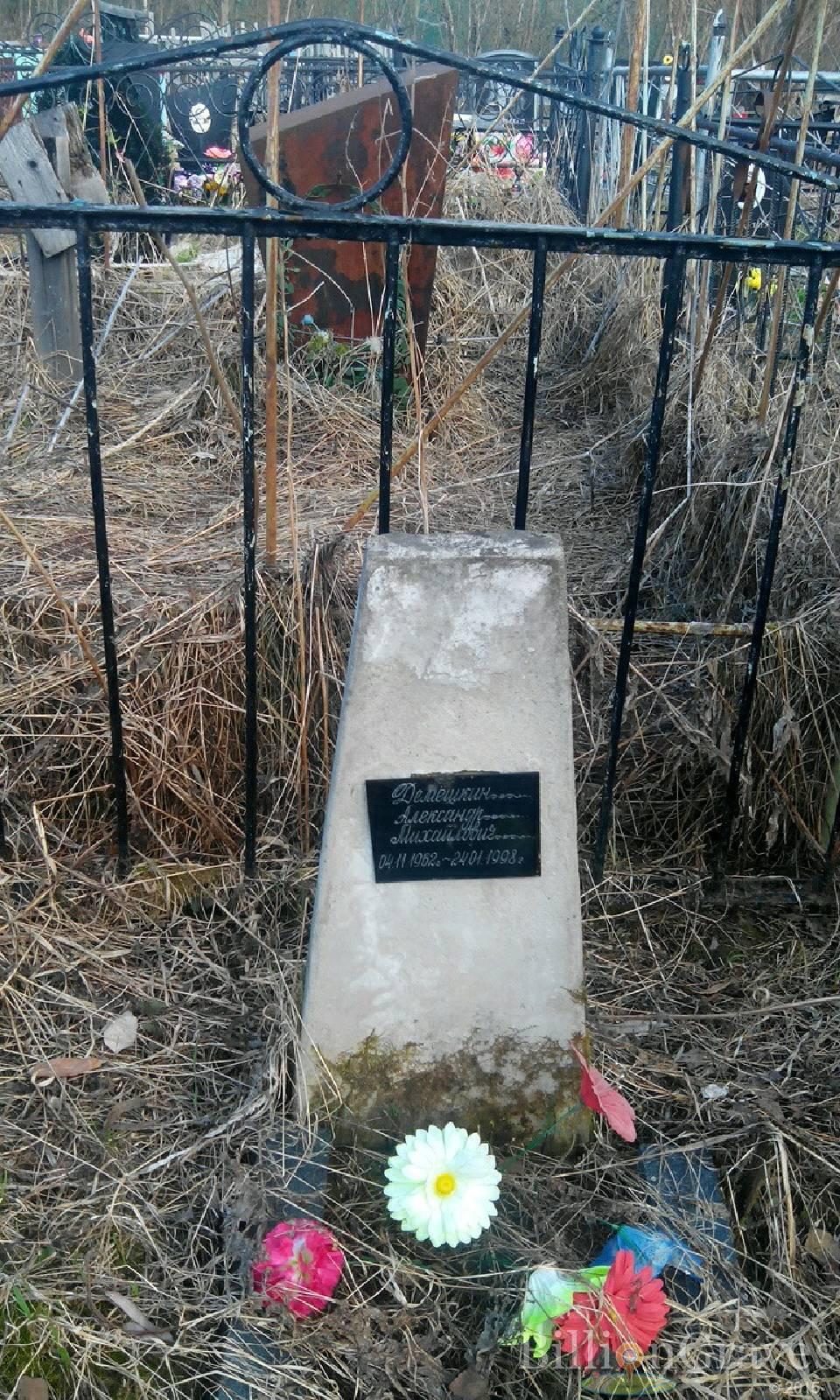 Демешкин Александр Михайлович