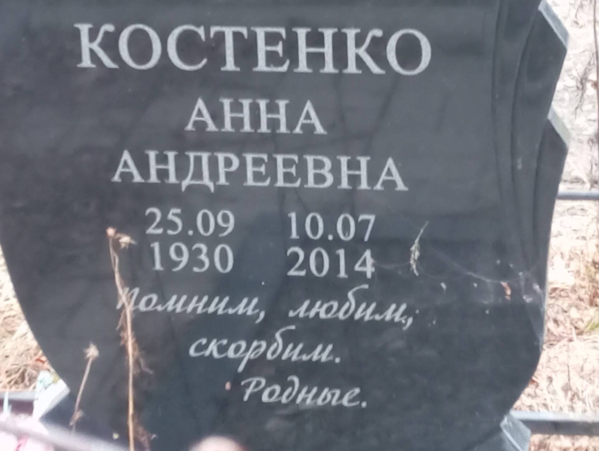 Костенко Анна Андреевна