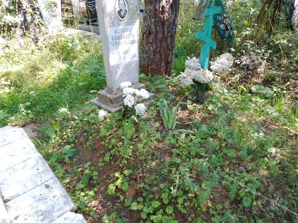 Котова Елизавета Терентьевна