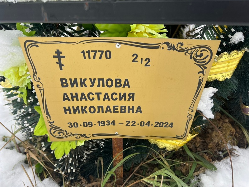 Викулова Анастасия Николаевна