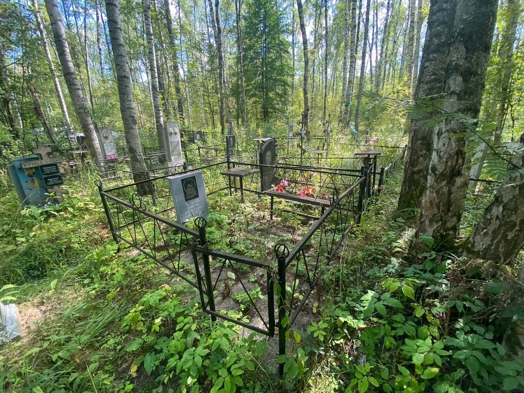 Чепьюк Нинель Алексеевна