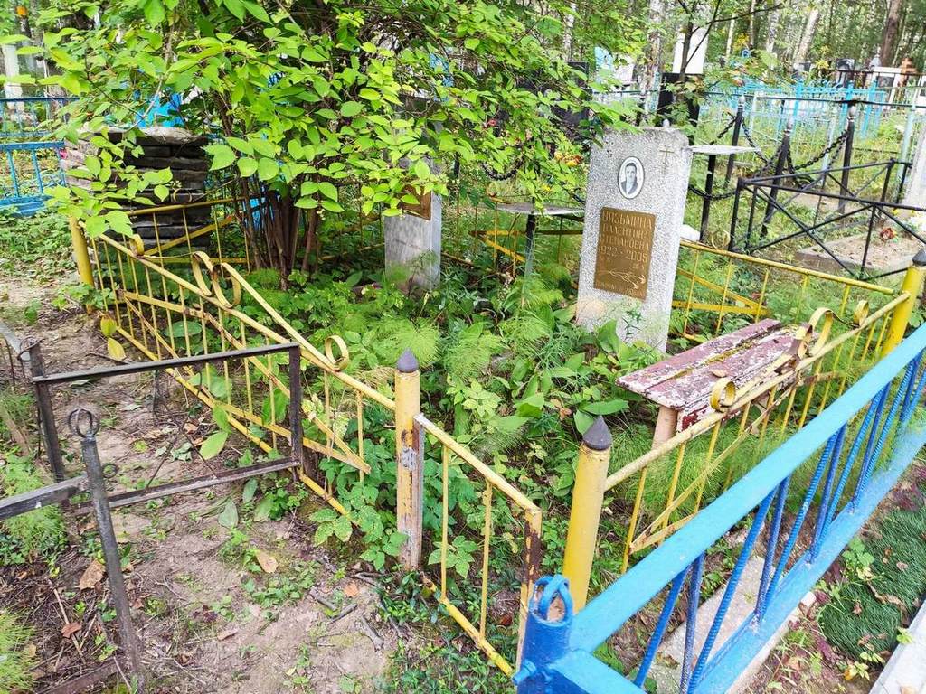 Шиповников Виктор Алексеевич