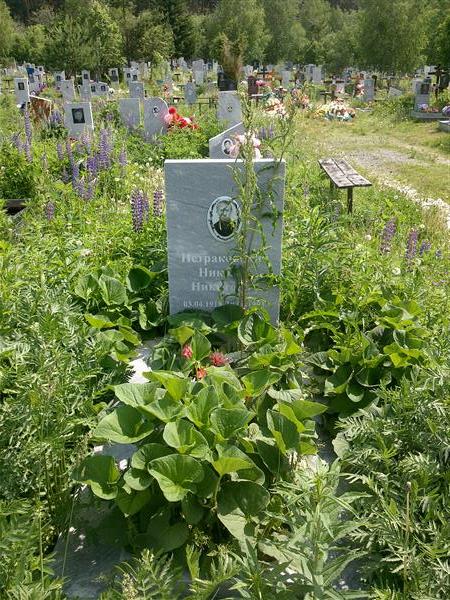 Петраковский Николай Никитович