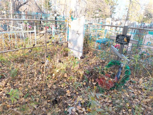 Андреева Любовь Александровна