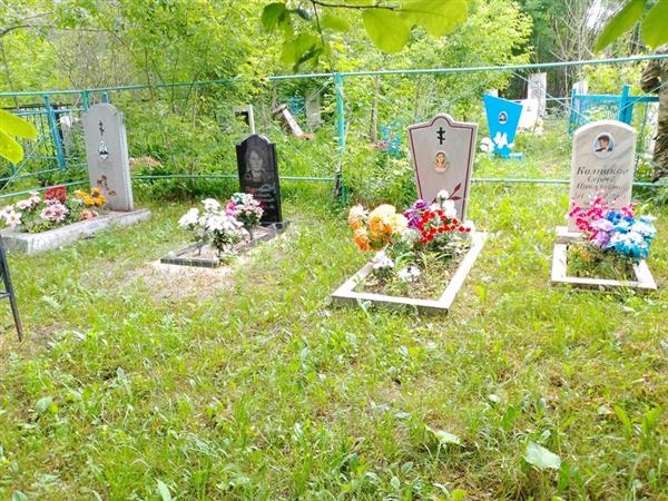 Яшунина Валентина Николаевна
