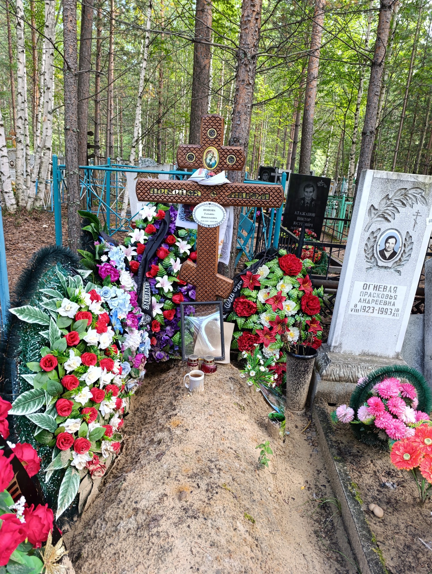 Попова Татьяна Николаевна