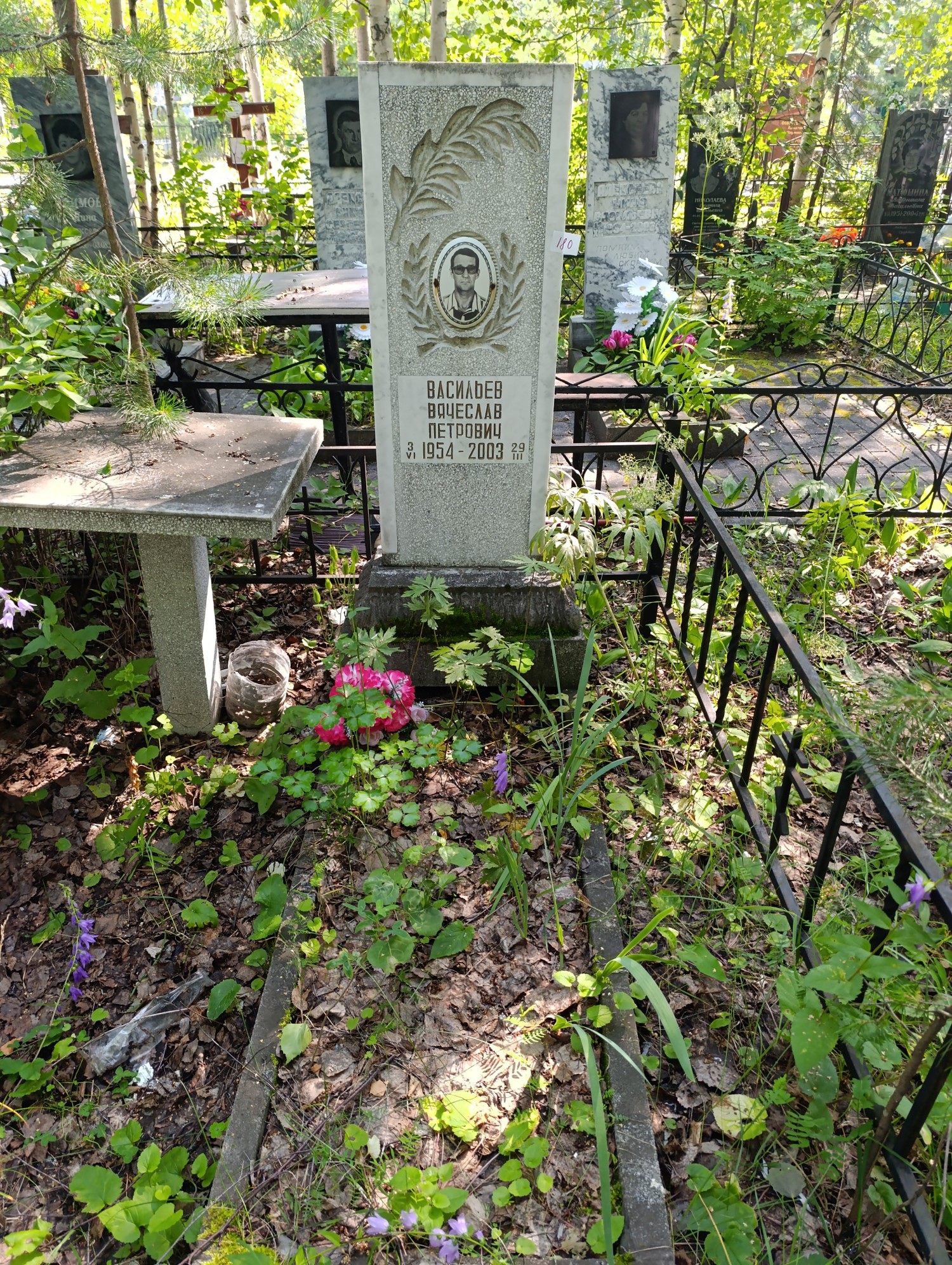 Васильев Вячеслав Петрович