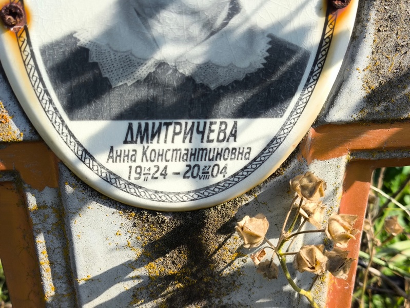 Дмитричева