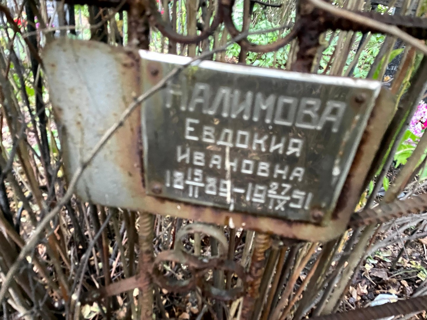 Налимова