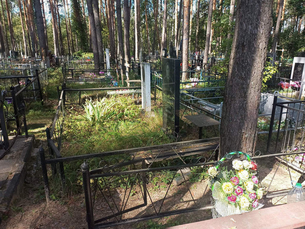 Шаульский Василий Павлович