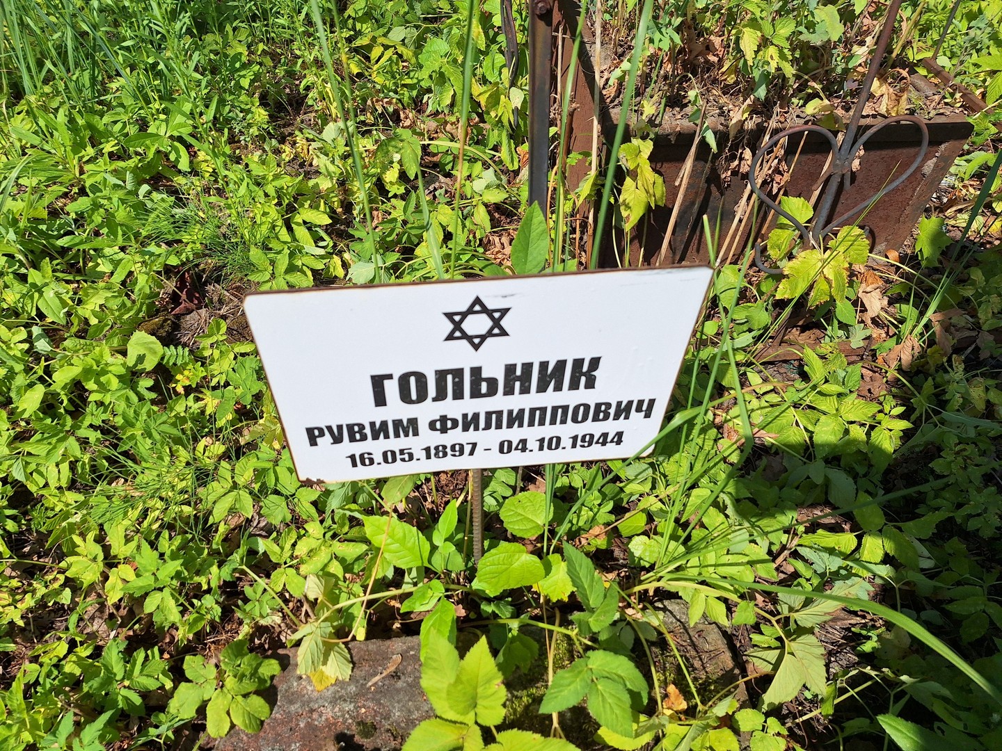 Рувим Гольник Филиппович