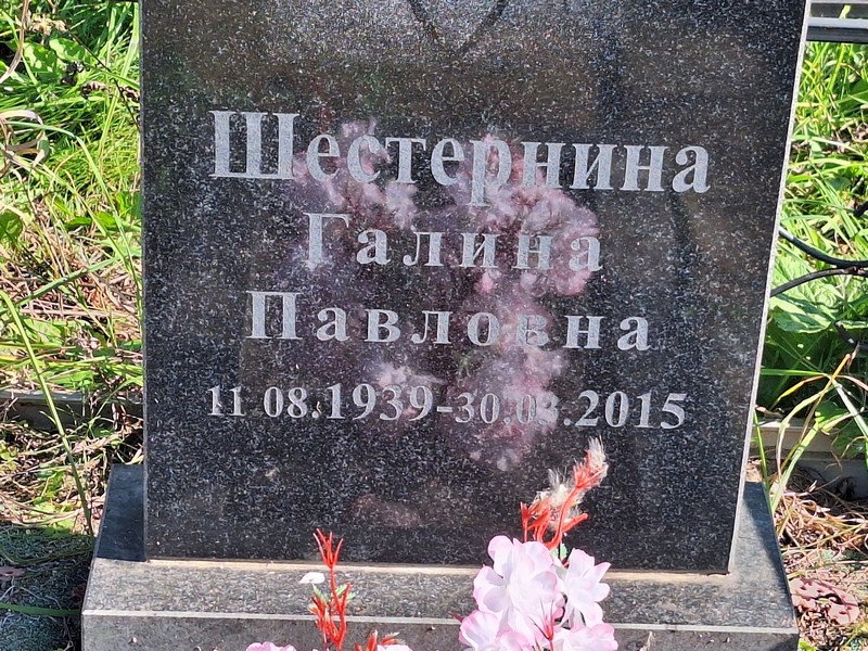 Шестернина