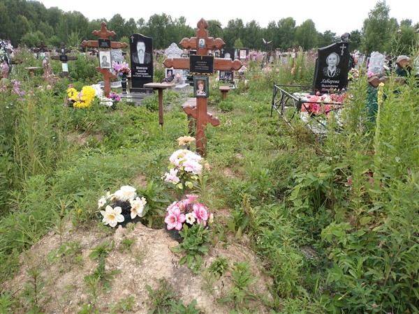 Абрамова Тамара Анатольевна