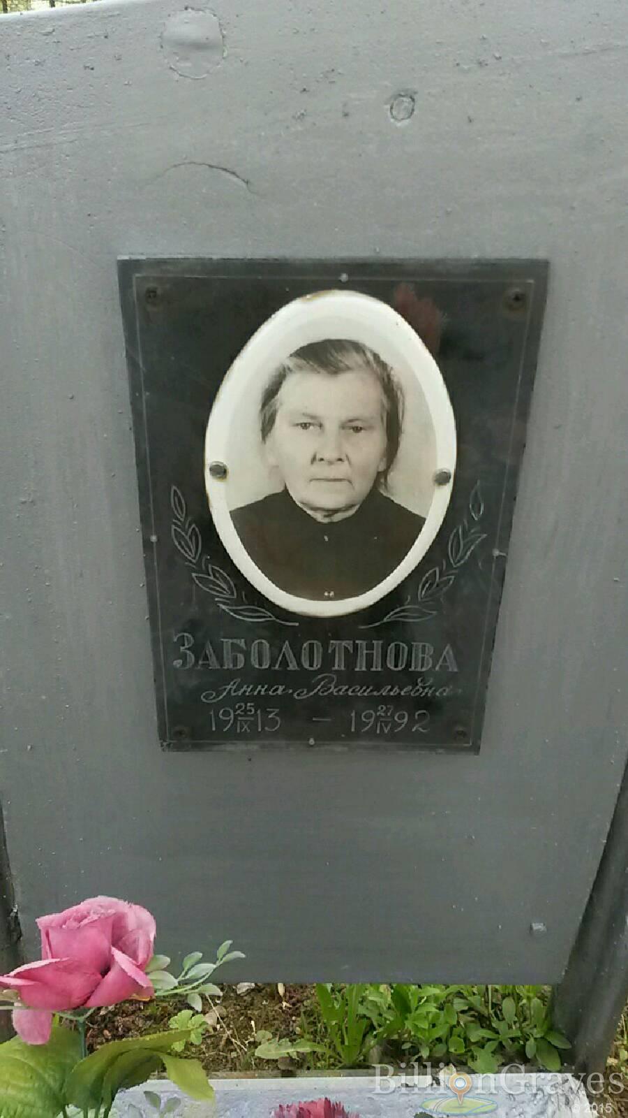 заболотнова анна васильевна