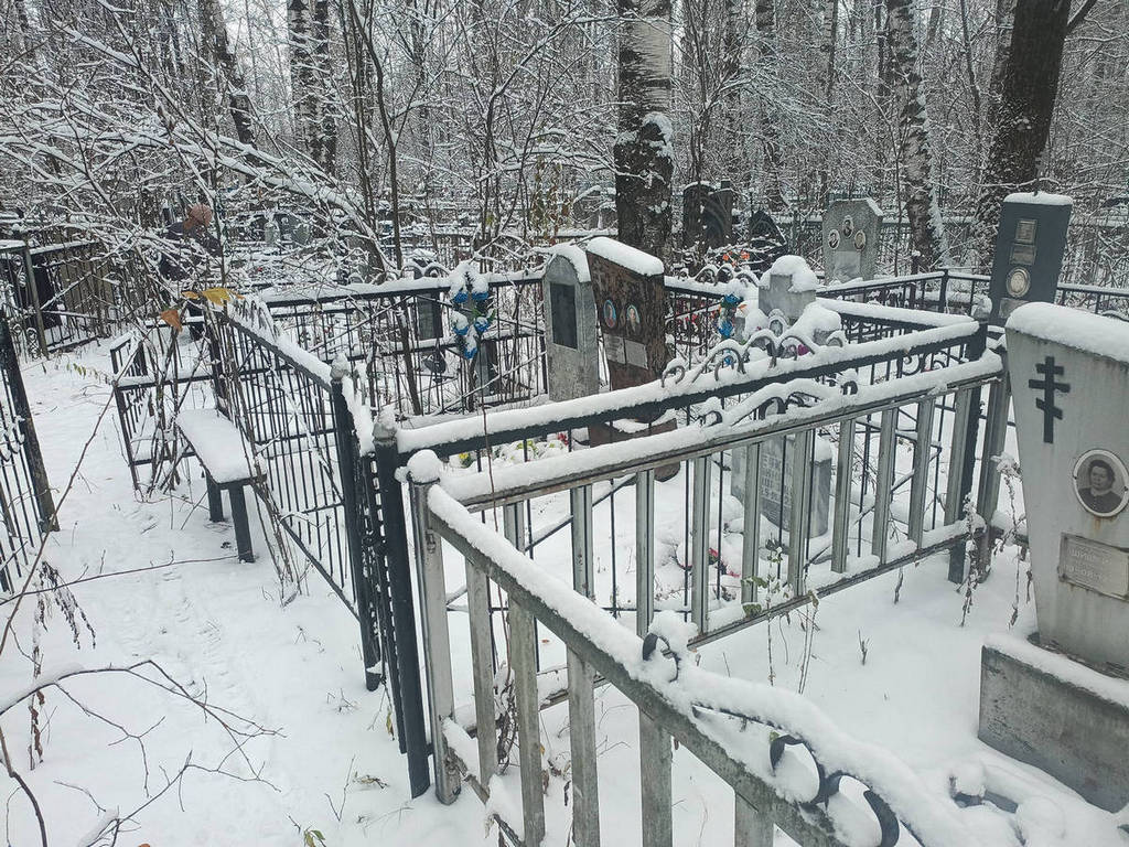Жнечков Александр Федорович