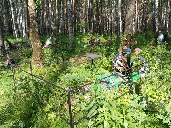 Гульков Виктор Николаевич