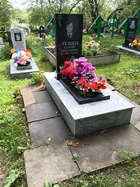 Левин Владимир Александрович