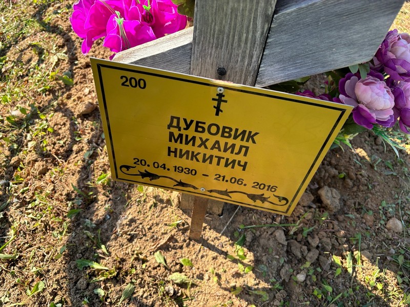 Дубовик