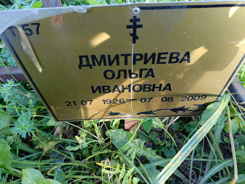 Дмитриева
