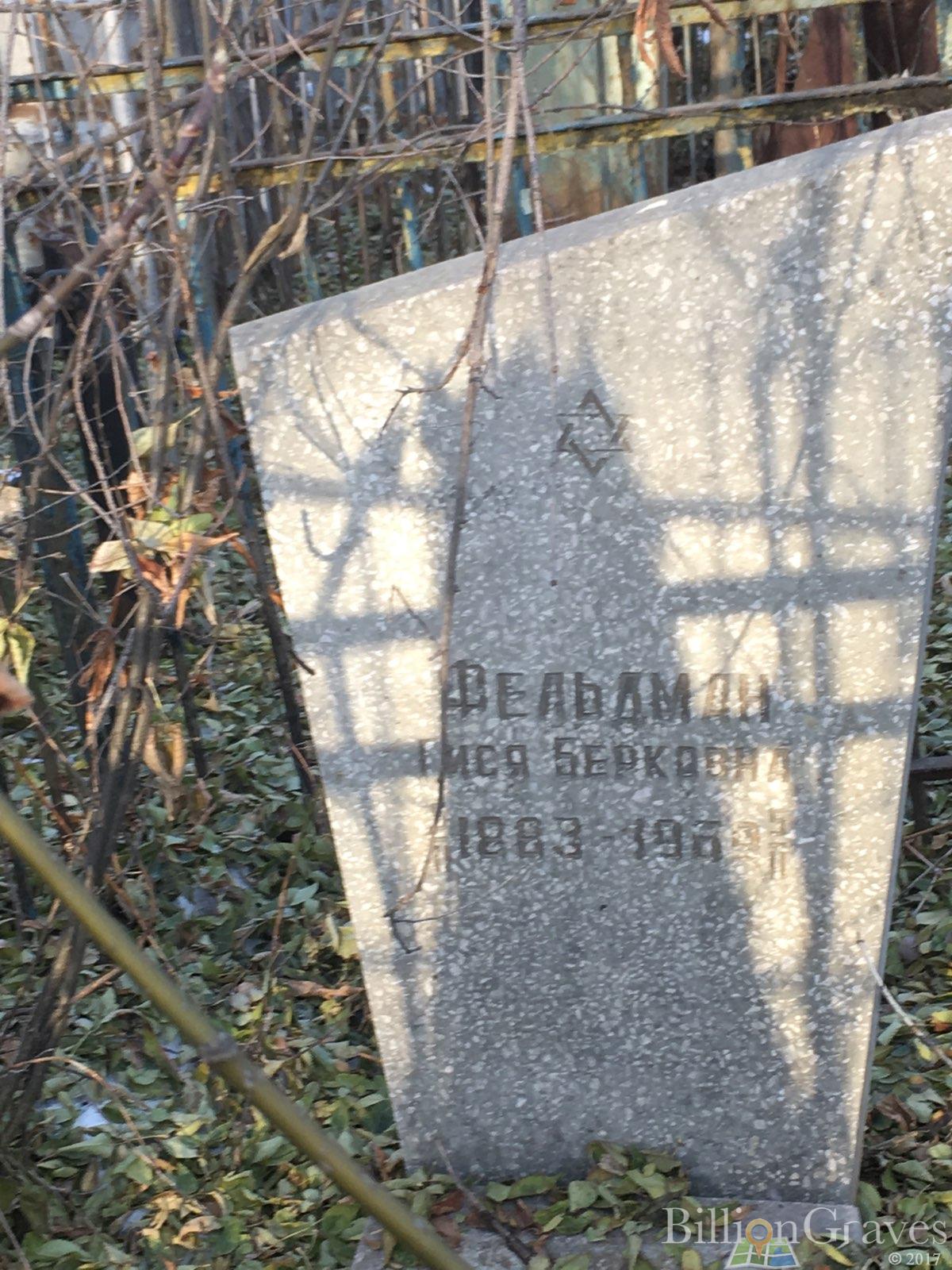 Фельдман Гися Берковна