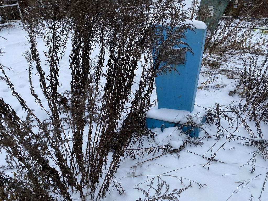 Федосеева Вера Васильевна