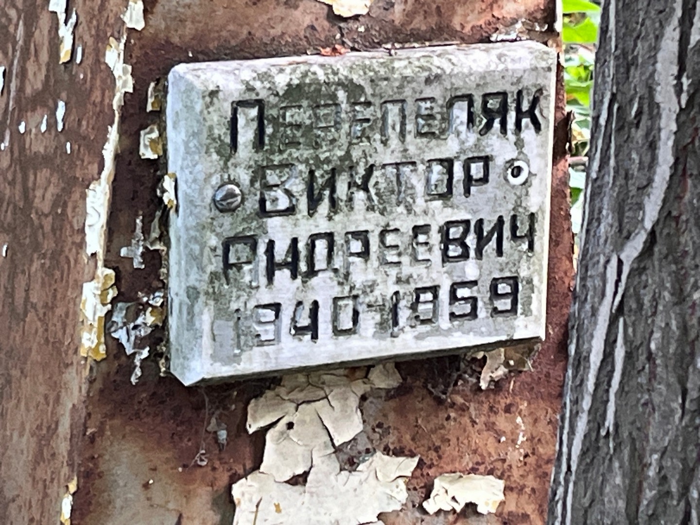 Перепеляк