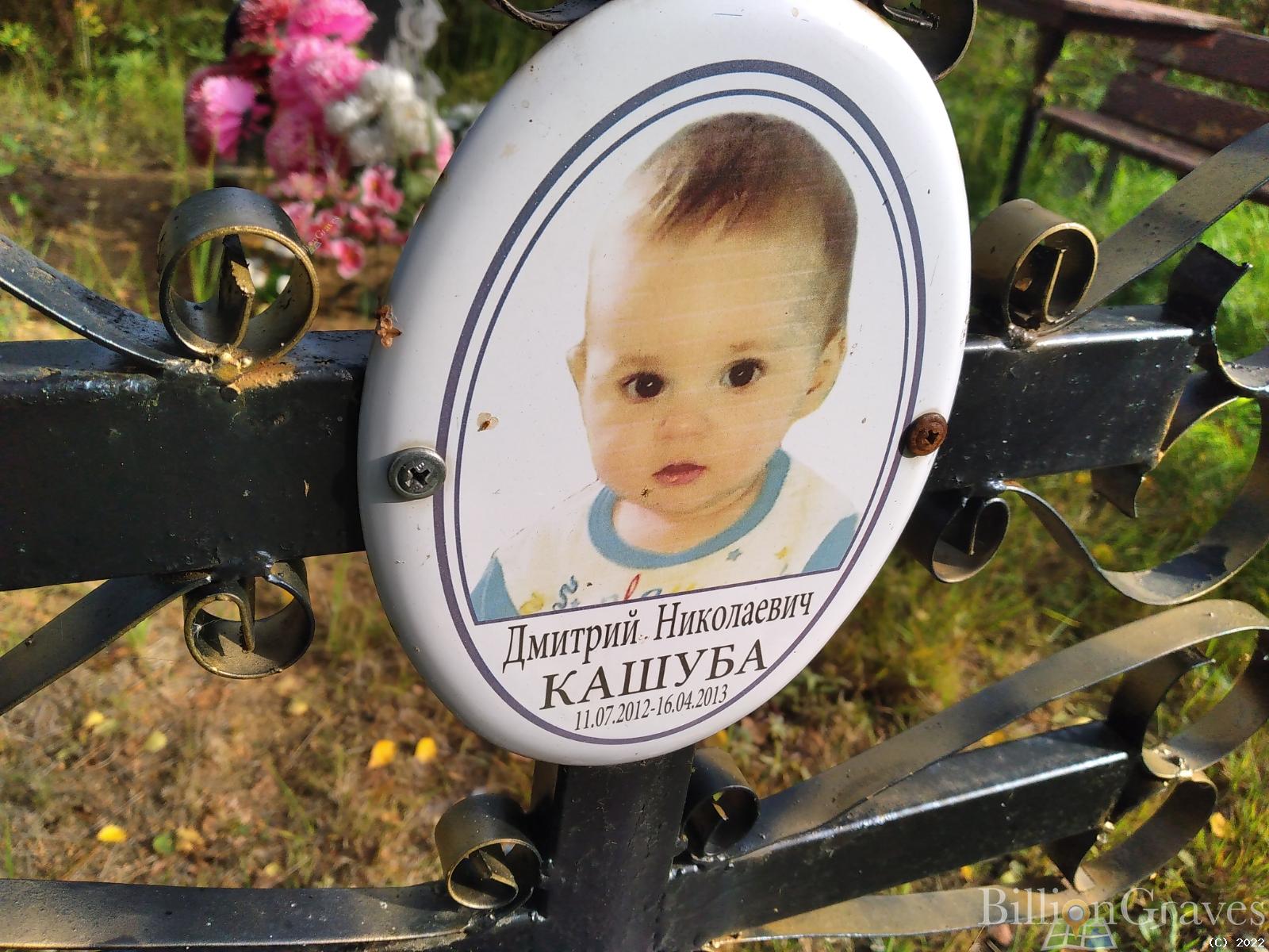 Кашуба Дмитрий Николаевич