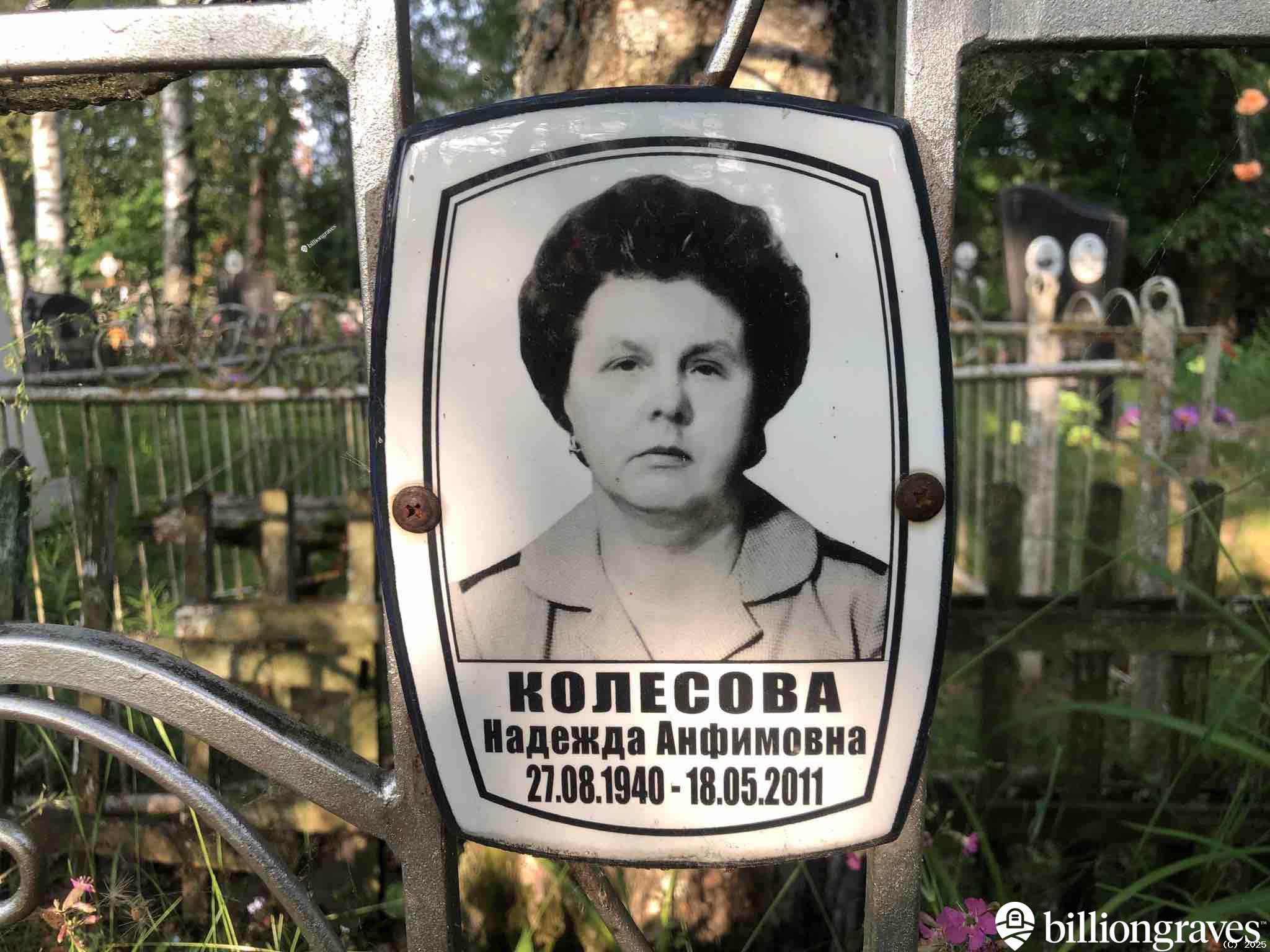 Колесова Надежда Анфимовна