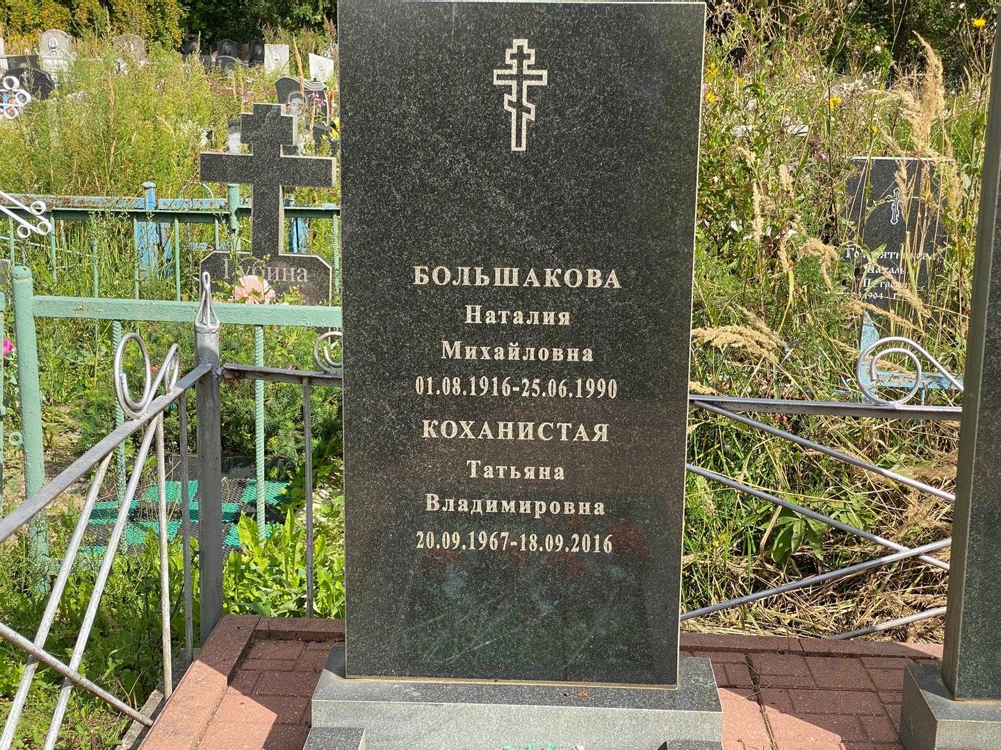 Коханистая