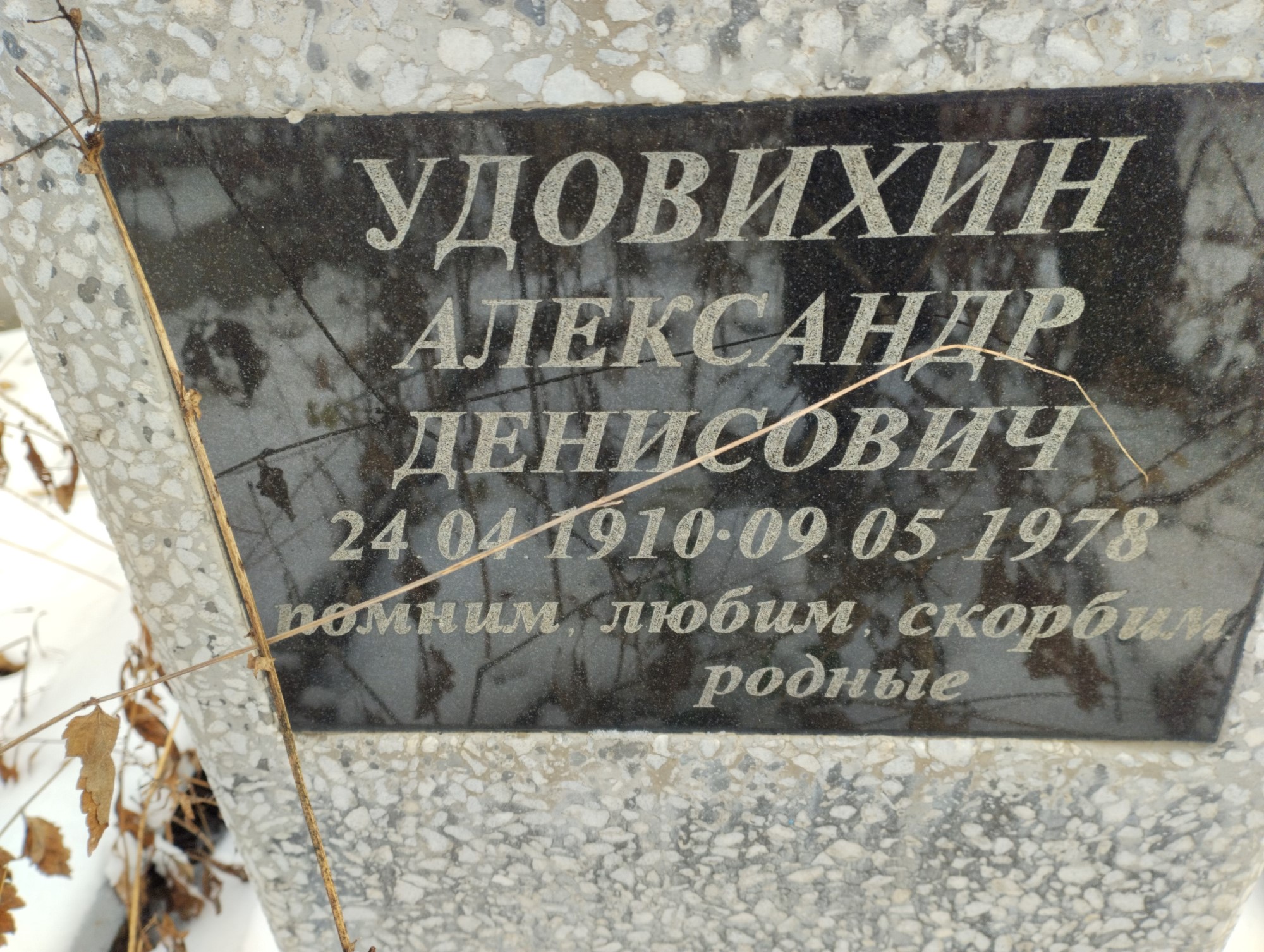 Удовихин Александр Денисович