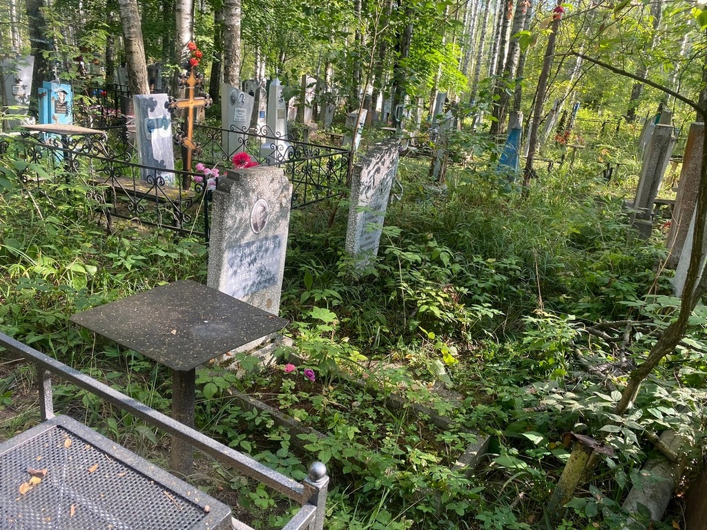 Горностаев Дмитрий Александрович