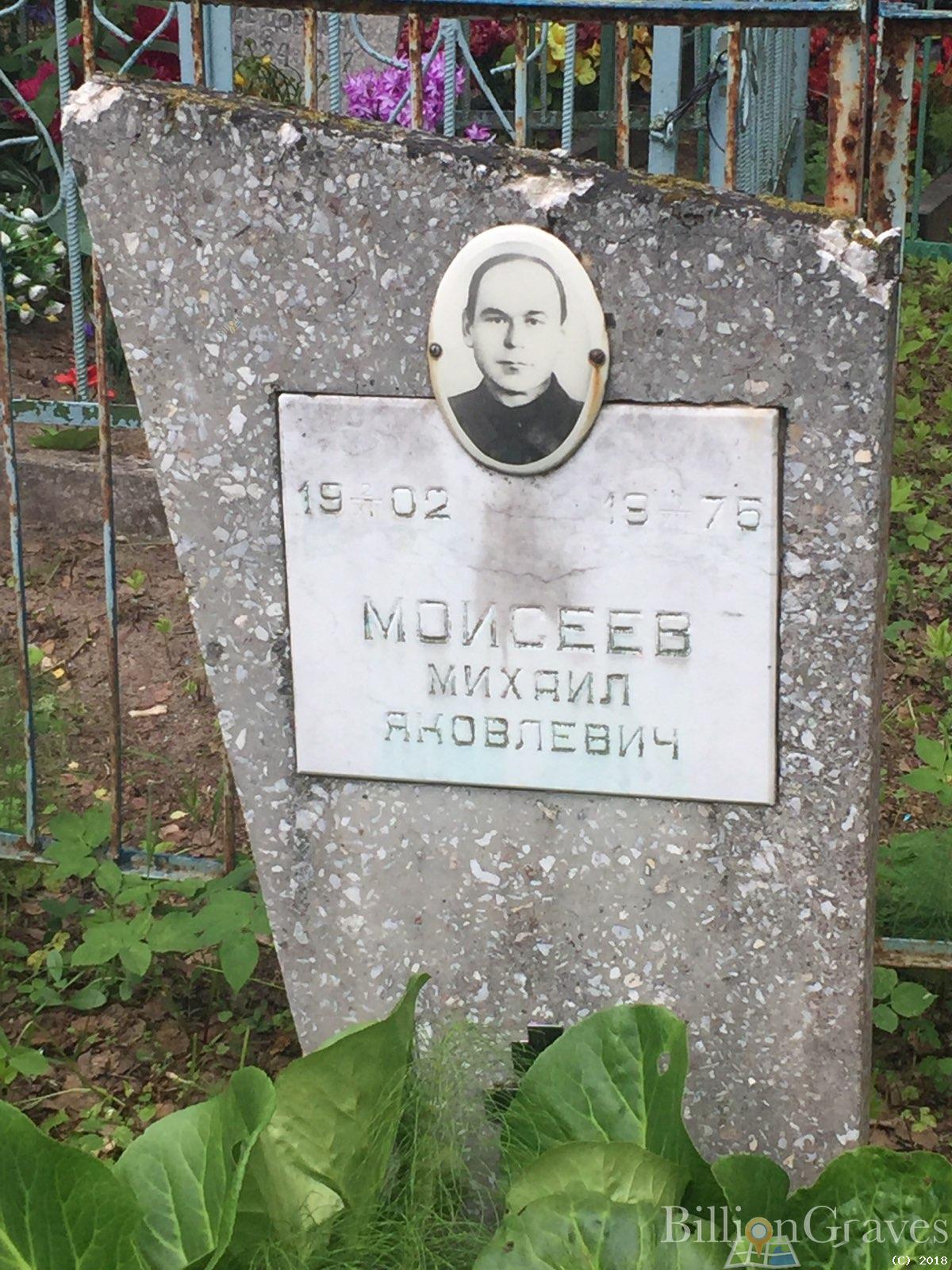 моисеев михаил яковлевич
