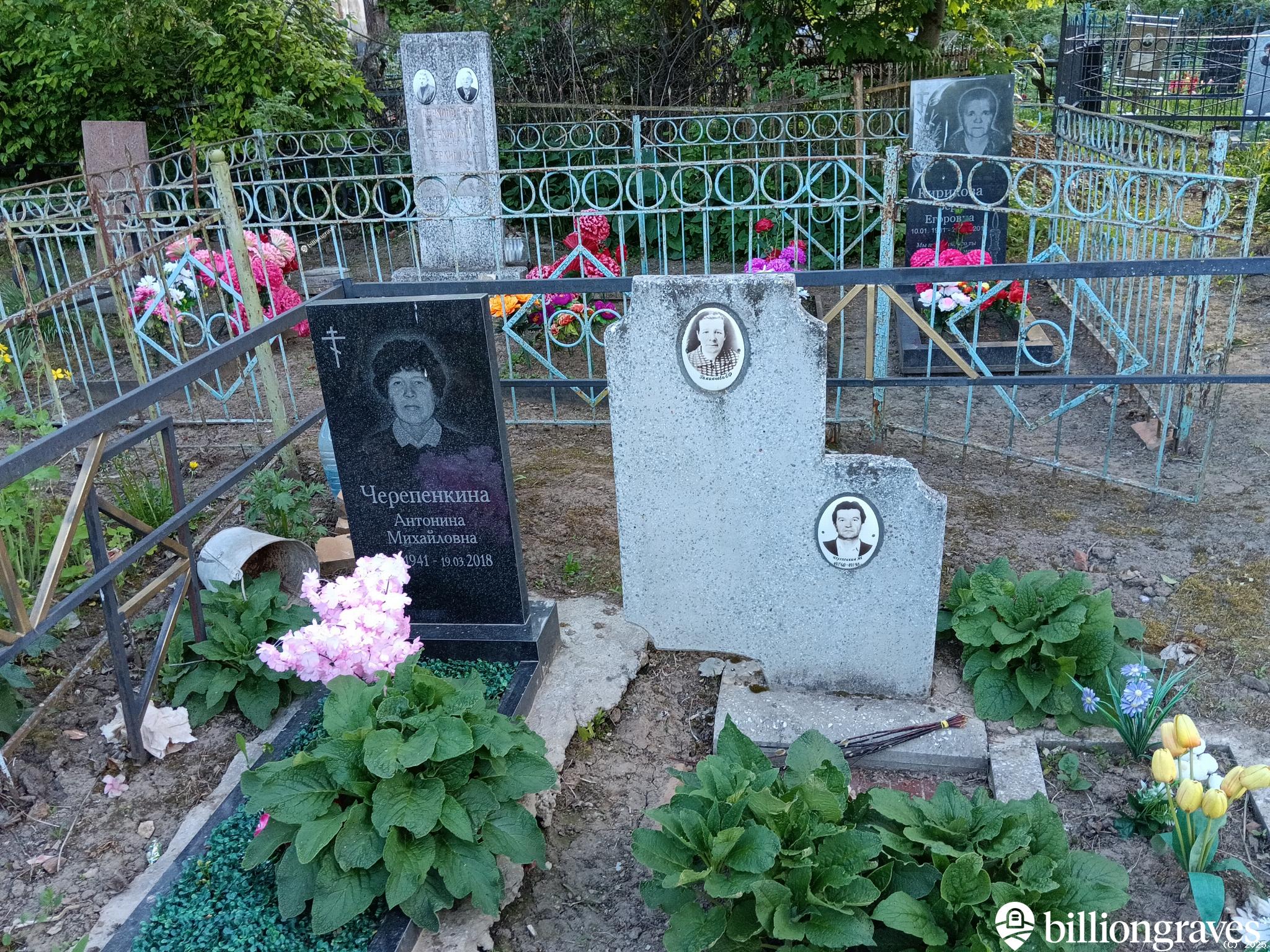 Черепенкина Антонина Михайловна