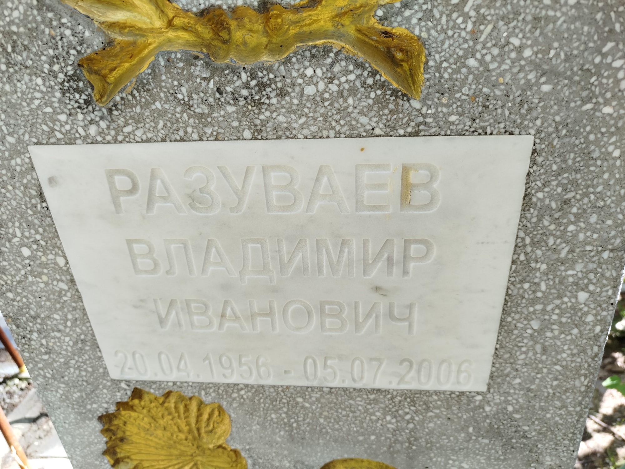 Разуваев Владимир Иванович