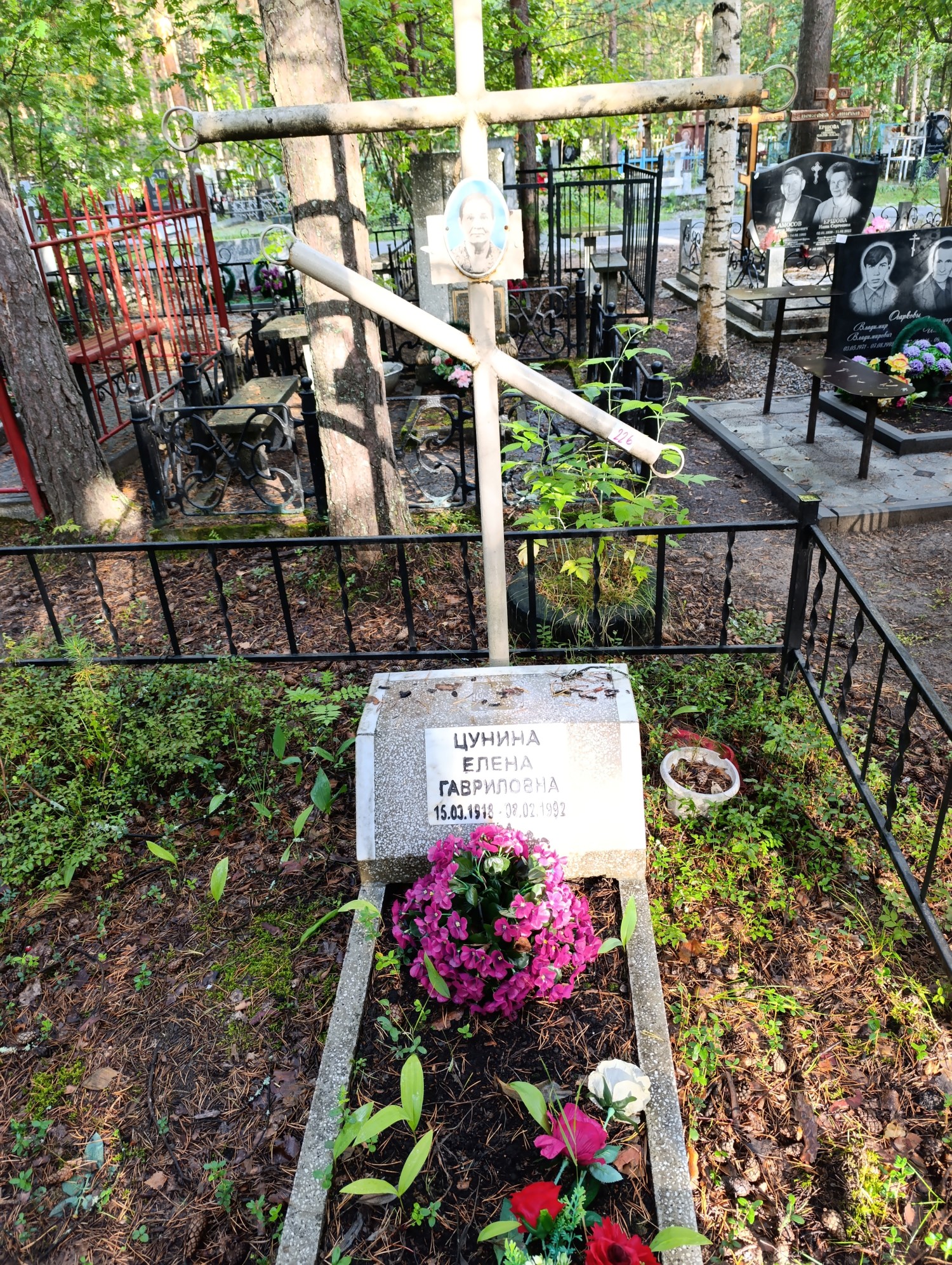 Цунина Елена Гавриловна