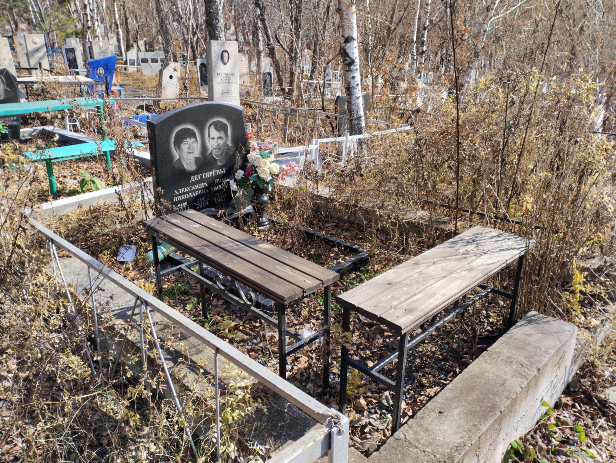 Дегтярев Александра Николаевна
