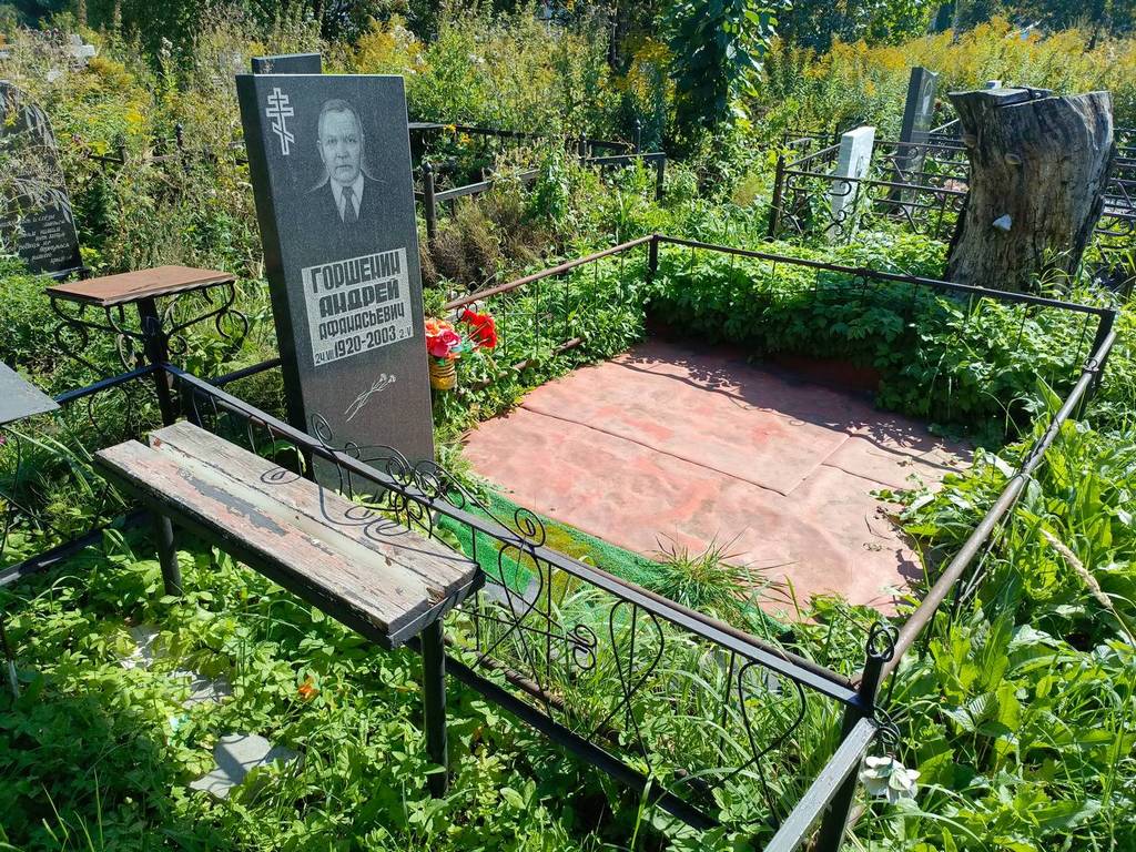 Горшенин Андрей Афанасьевич