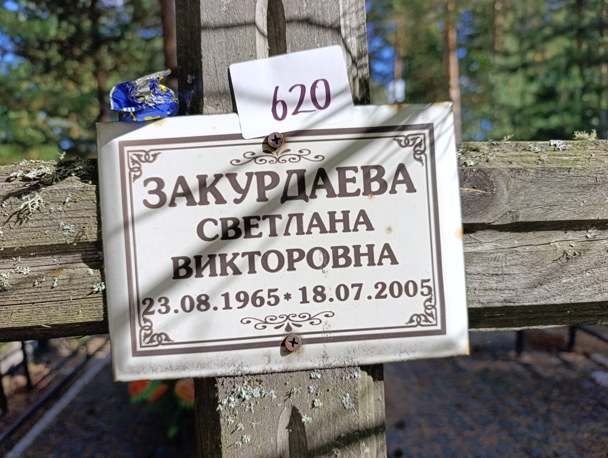 Закурдаева Светлана Викторовна