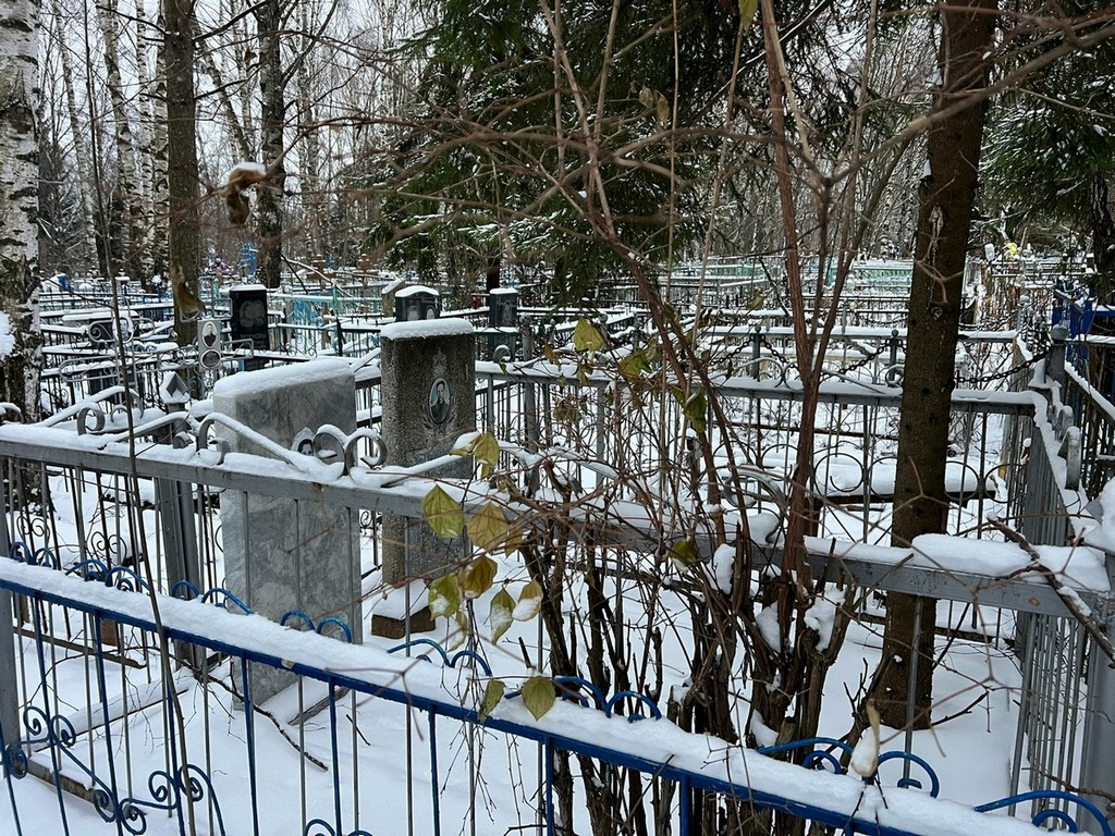 Горунов Николай Михайлович