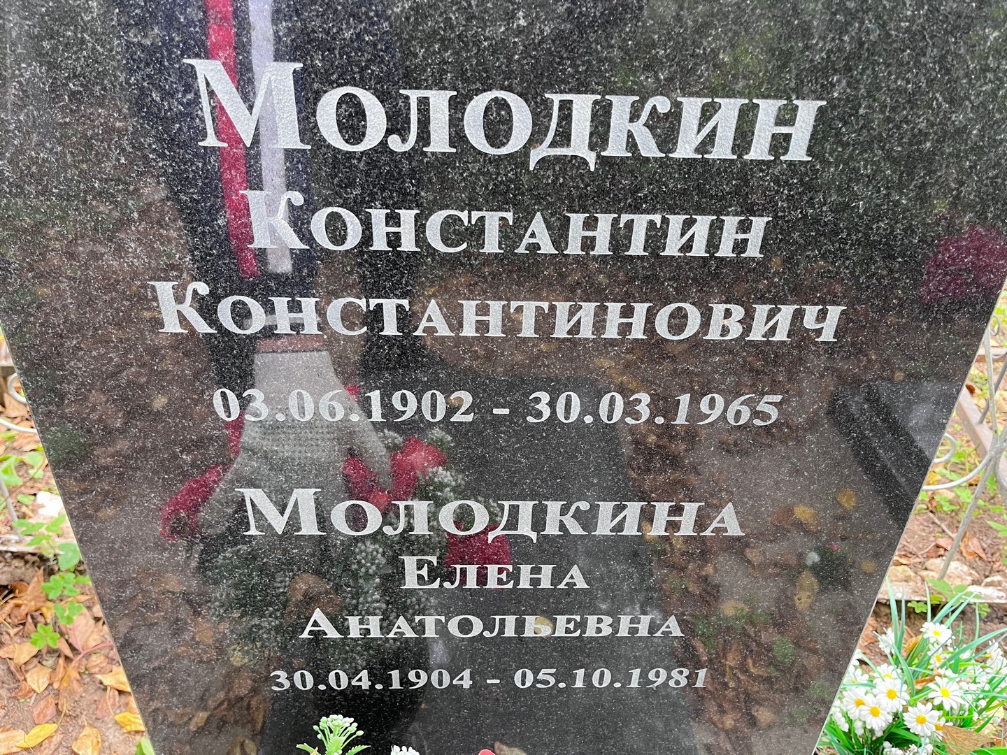 Молодкин