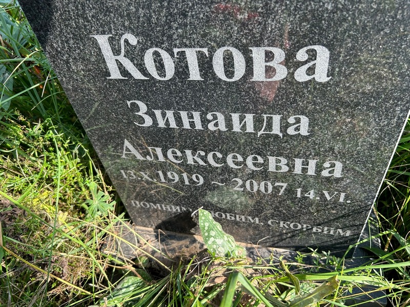 Котова
