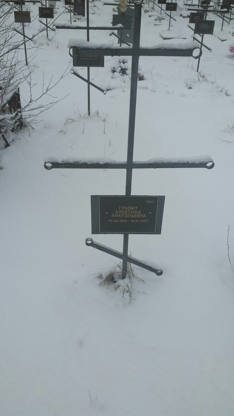 Гравит Алевтина Анатольевна